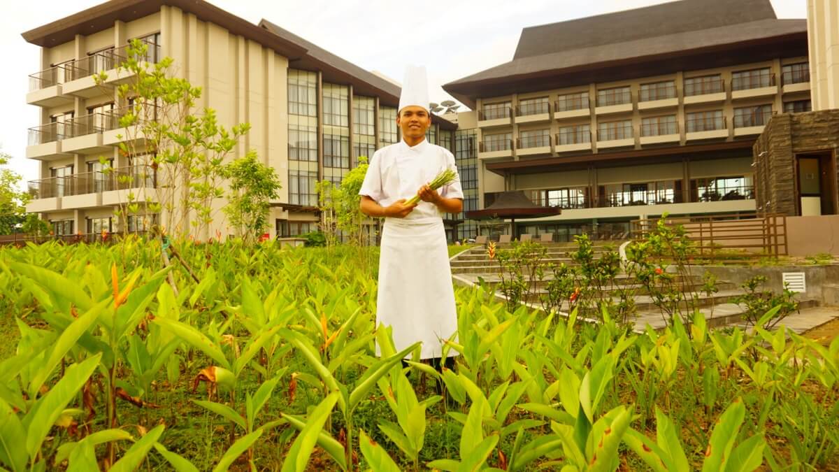 Memasak adalah skill penting untuk bertahan hidup